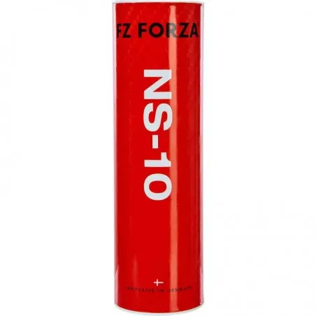 NS 10