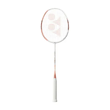 Astrox 01 Ability