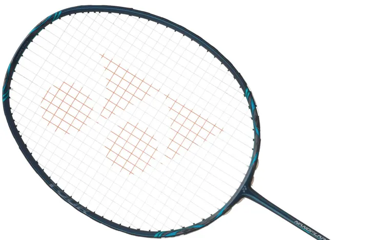 Nanoflare 800 Tour — AllRackets