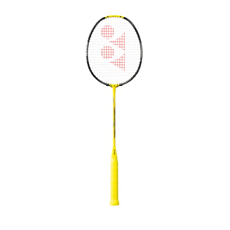 Nanoflare 1000 Game — +2Bad