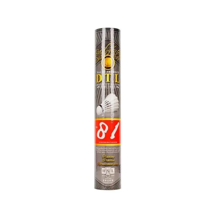 DTL 81