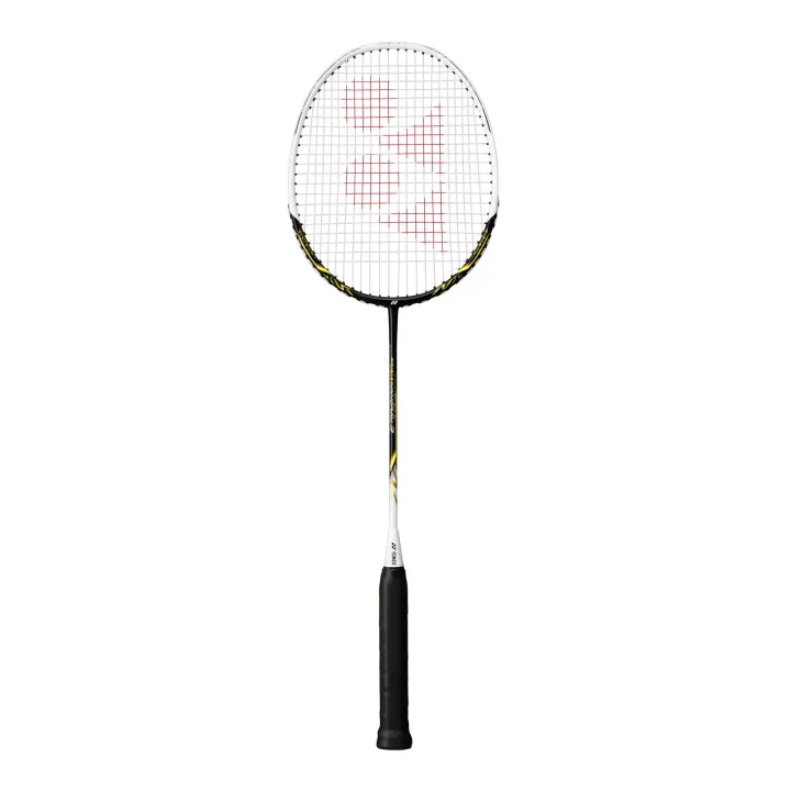 Nanoray 300