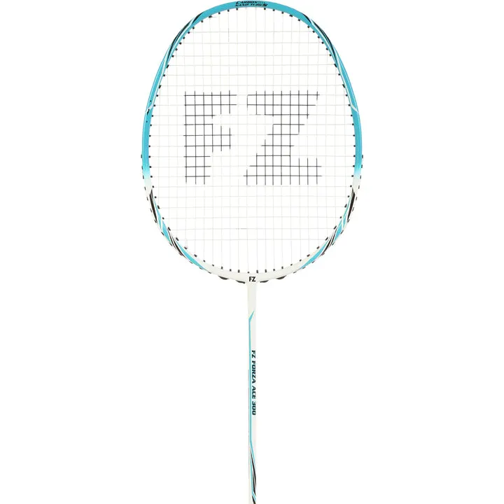 ACE 300